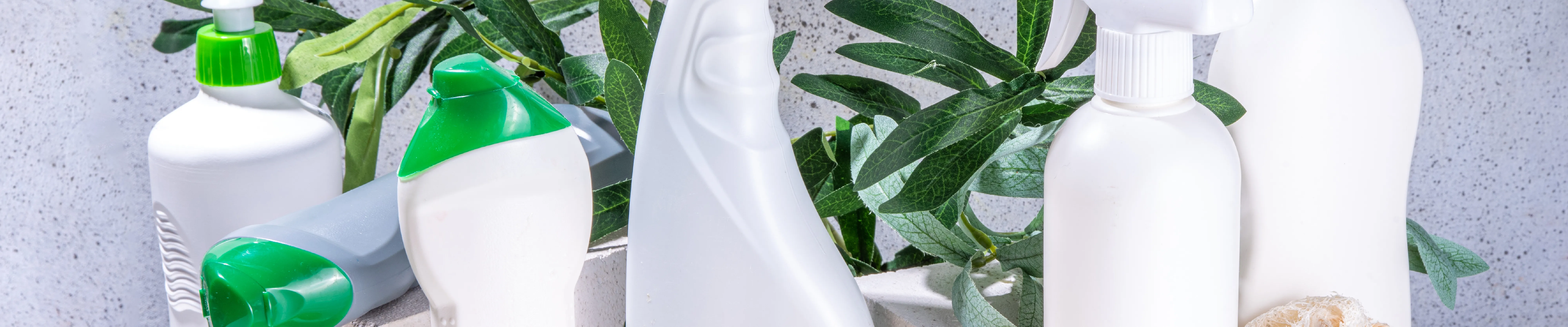 carpet cleaning in new jersey, carpet cleaning in new jersey, carpet cleaning new jersey, carpet cleaners in new jersey, carpet cleaners in new jersey, commercial carpet cleaning, commercial carpet cleaning in new jersey, new jersey rug cleaners, rug cleaning services in new jersey, same day carpet cleaning, same day rug cleaning