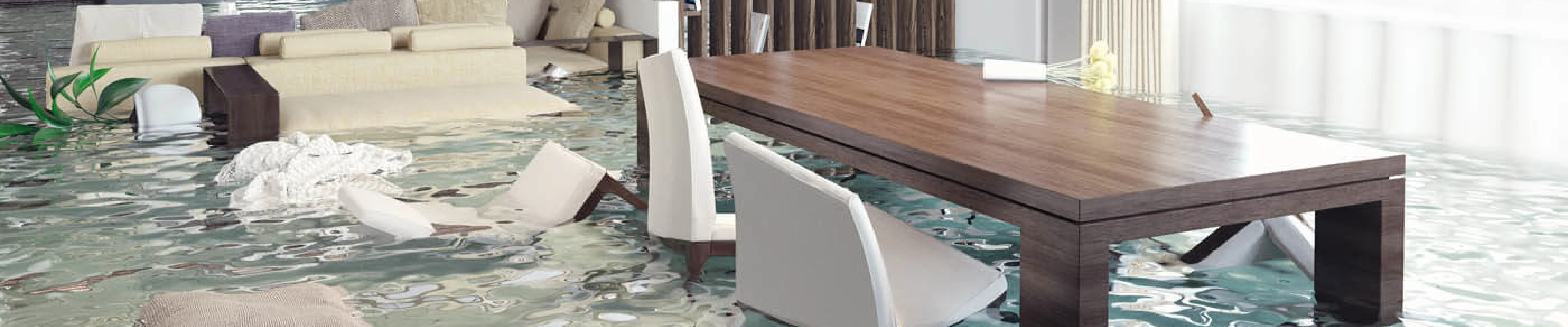 carpet cleaning in new jersey, carpet cleaning in new jersey, carpet cleaning new jersey, carpet cleaners in new jersey, carpet cleaners in new jersey, commercial carpet cleaning, commercial carpet cleaning in new jersey, new jersey rug cleaners, rug cleaning services in new jersey, same day carpet cleaning, same day rug cleaning